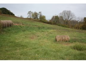 Lot 2-tbd Clear Springs Road, Unit 2 Limestone, TN 37681 - Photo 18 of 23 Photo 19