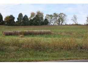 Lot 2-tbd Clear Springs Road, Unit 2 Limestone, TN 37681 - Photo 2 of 23 Photo 2