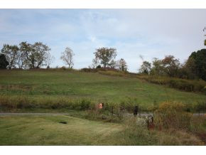 Lot 2-tbd Clear Springs Road, Unit 2 Limestone, TN 37681 - Photo 8 of 23 Photo 9