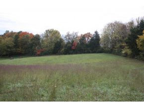 Lot 2-tbd Clear Springs Road, Unit 2 Limestone, TN 37681 - Photo 10 of 23 Photo 11