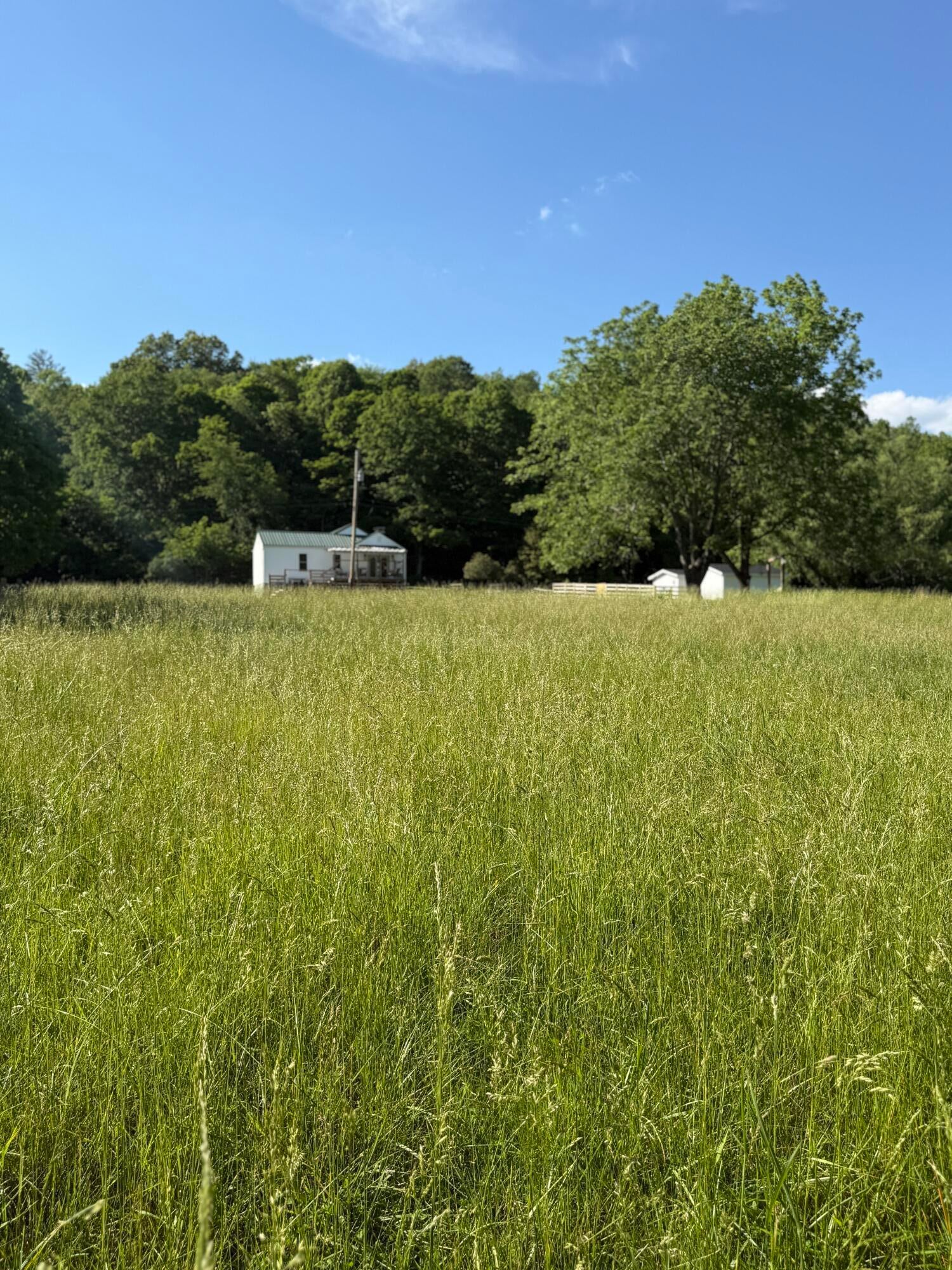 1999 Rockland Road Ronceverte, WV 24970 - Photo 136 of 153 Gallery Image 136