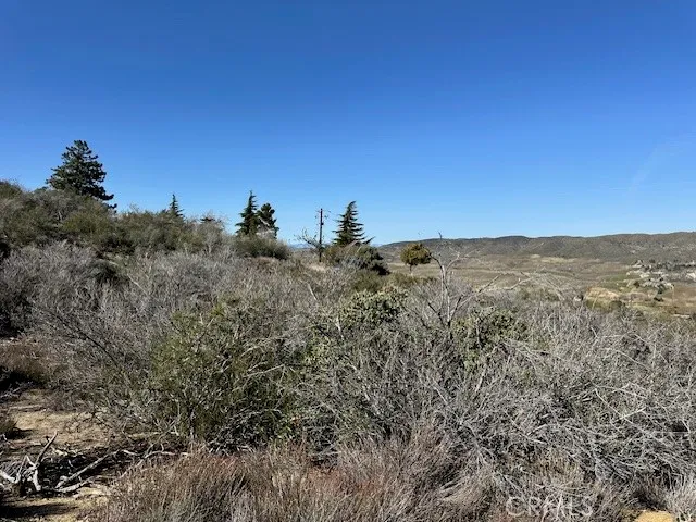 $50,000 | 0 97th Street West, Palmdale, CA 93551