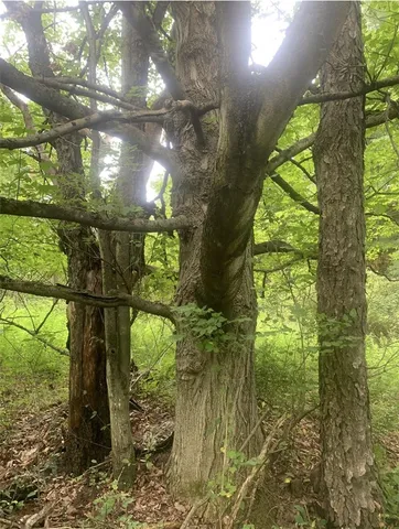 $157,900 | 42 Sunnyside Street, Friendship, NY 14739