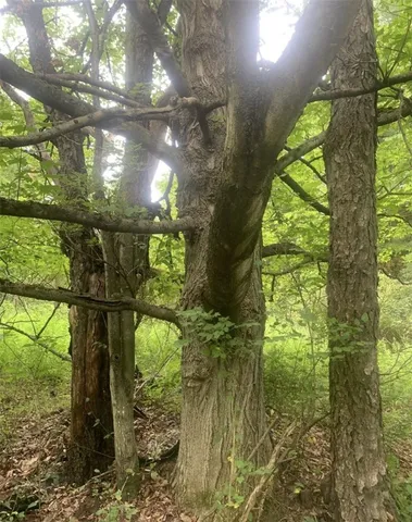 $159,900 | 42 Sunnyside Street, Friendship, NY 14739