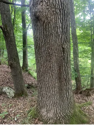 $157,900 | 42 Sunnyside Street, Friendship, NY 14739