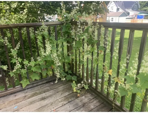 $157,900 | 42 Sunnyside Street, Friendship, NY 14739