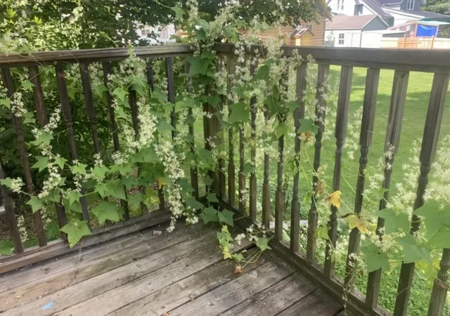 $159,900 | 42 Sunnyside Street, Friendship, NY 14739