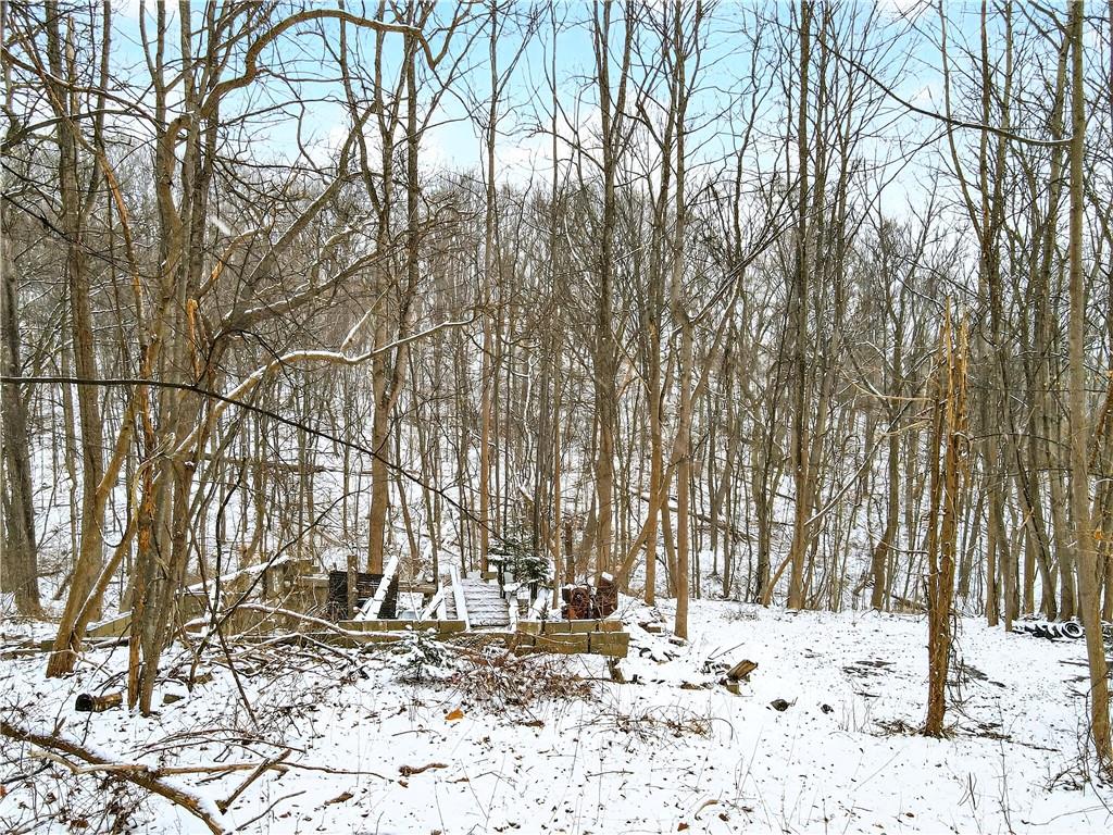 217 Klein Road Glenshaw, PA 15116 - Photo 22 of 31