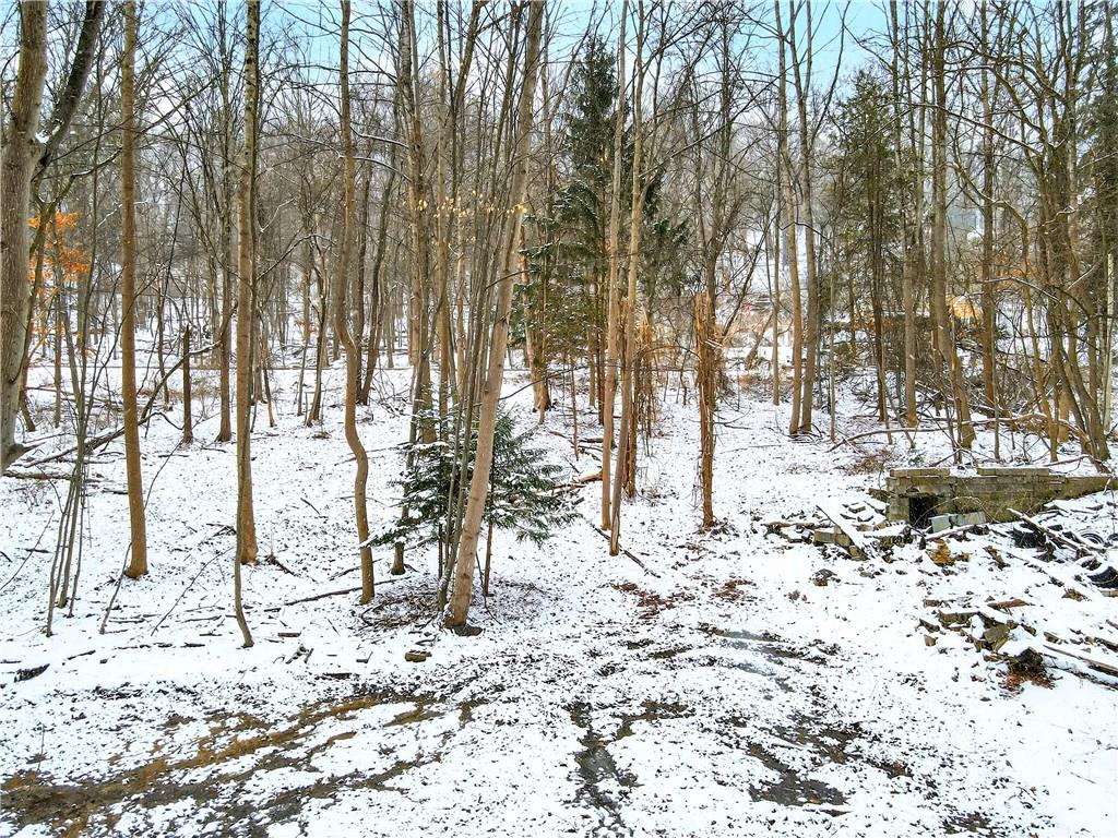 217 Klein Road Glenshaw, PA 15116 - Photo 23 of 31