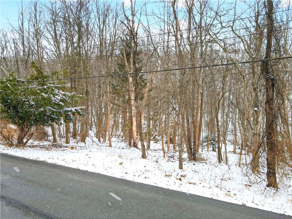 217 Klein Road Glenshaw, PA 15116 - Photo 28 of 31