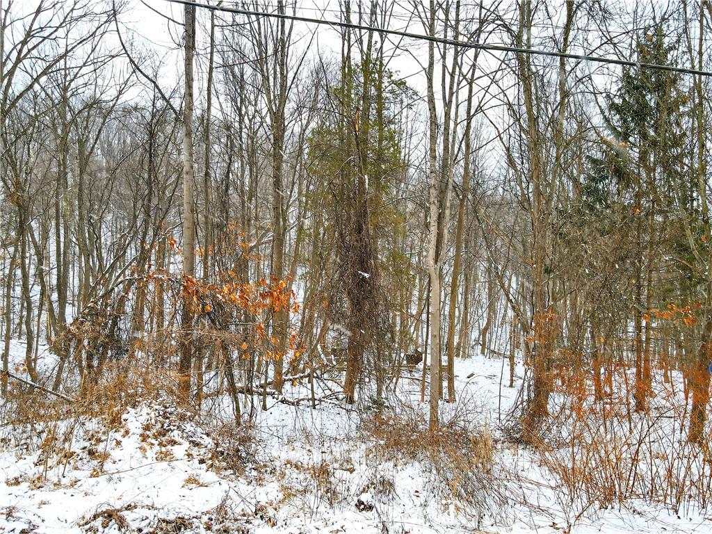 217 Klein Road Glenshaw, PA 15116 - Photo 29 of 31