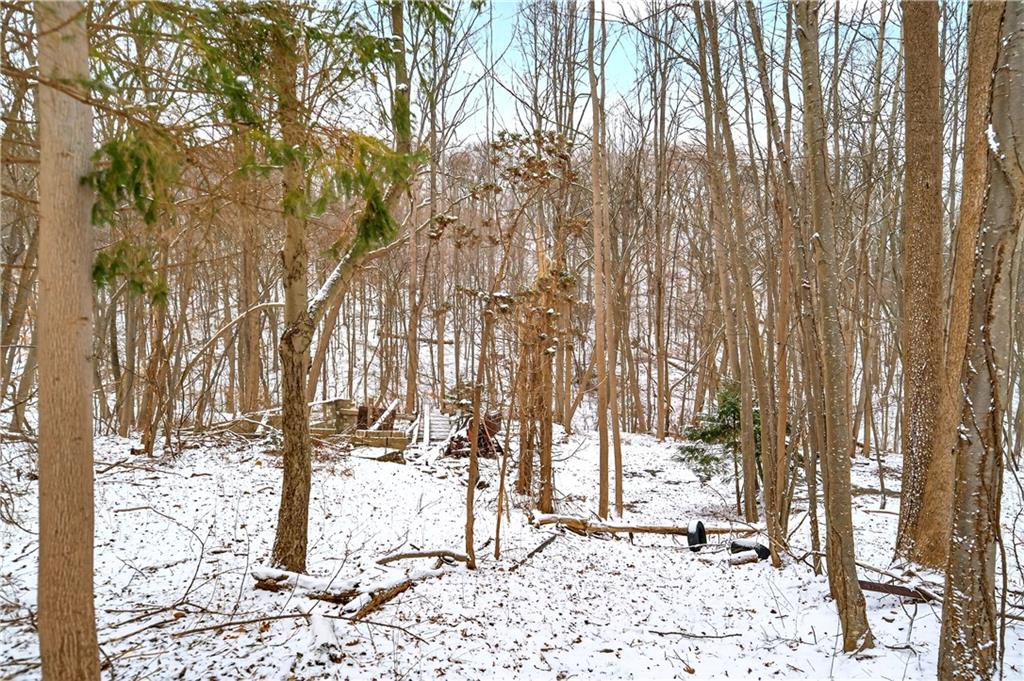 217 Klein Road Glenshaw, PA 15116 - Photo 4 of 31