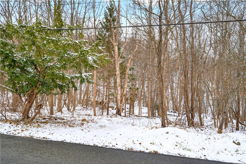 217 Klein Road Glenshaw, PA 15116 - Photo 5 of 31