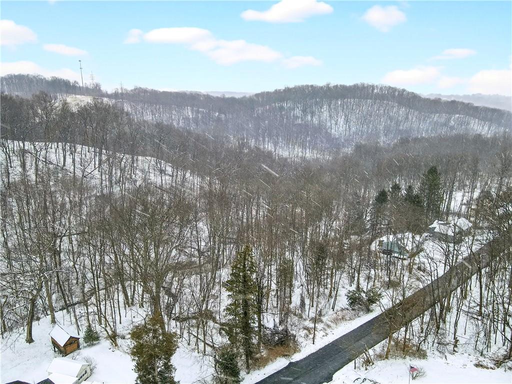 217 Klein Road Glenshaw, PA 15116 - Photo 7 of 31