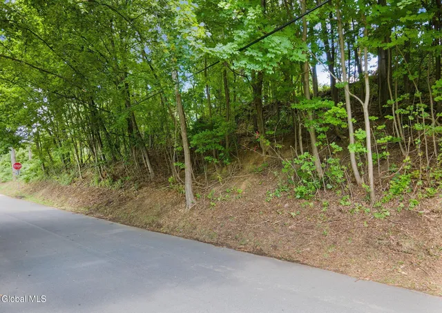 $13,333 | 53 Cottage Avenue, Albany, NY 12203