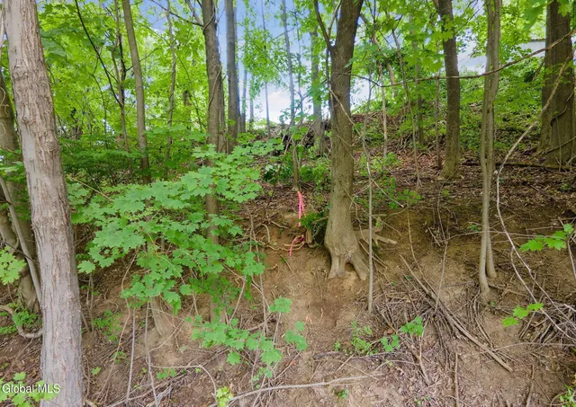 $13,333 | 53 Cottage Avenue, Albany, NY 12203