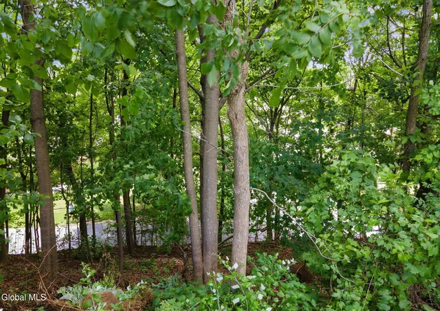 $13,333 | 53 Cottage Avenue, Albany, NY 12203