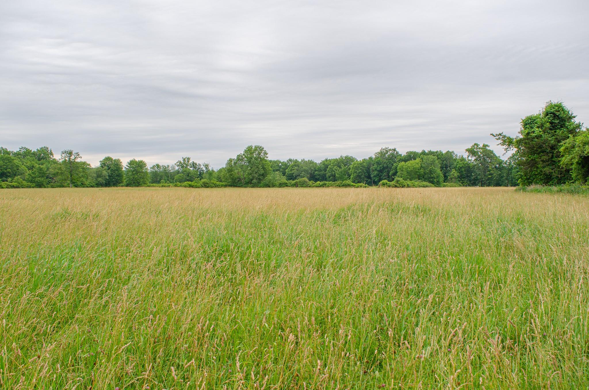4986 32nd Route Catskill, NY 12414 - Photo 4 of 7 a view of lake with trees in the background