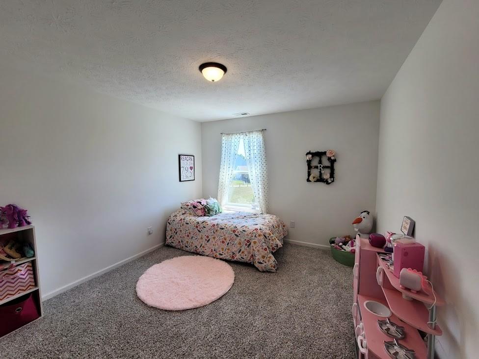 7103 Prelude Road Brownsburg, IN 46112 - Photo 21 of 27 Gallery Image 21