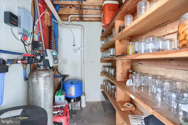 a big yard with lots of green space and trees