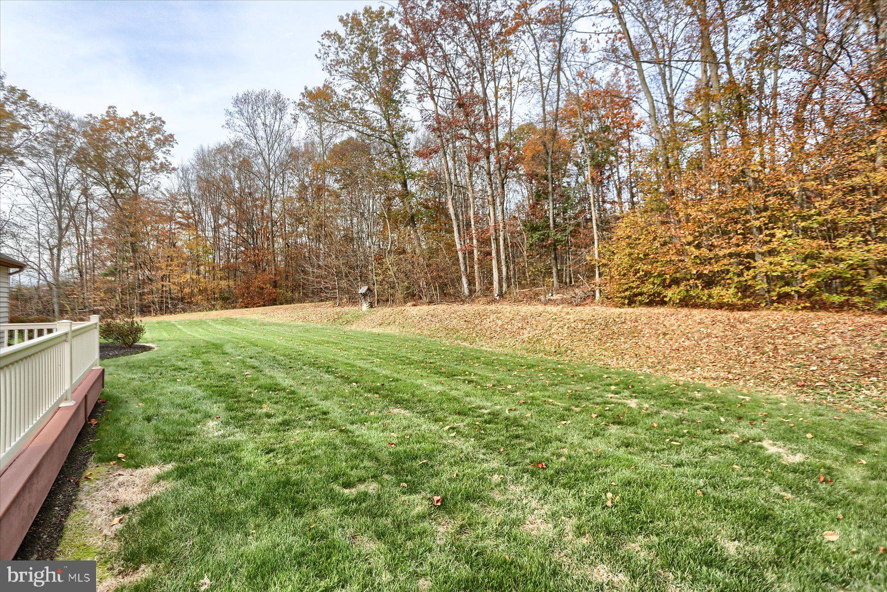 7504 Raccoon Valley Road Millerstown, PA 17062 - Photo 45 of 71 a big yard with lots of green space and trees