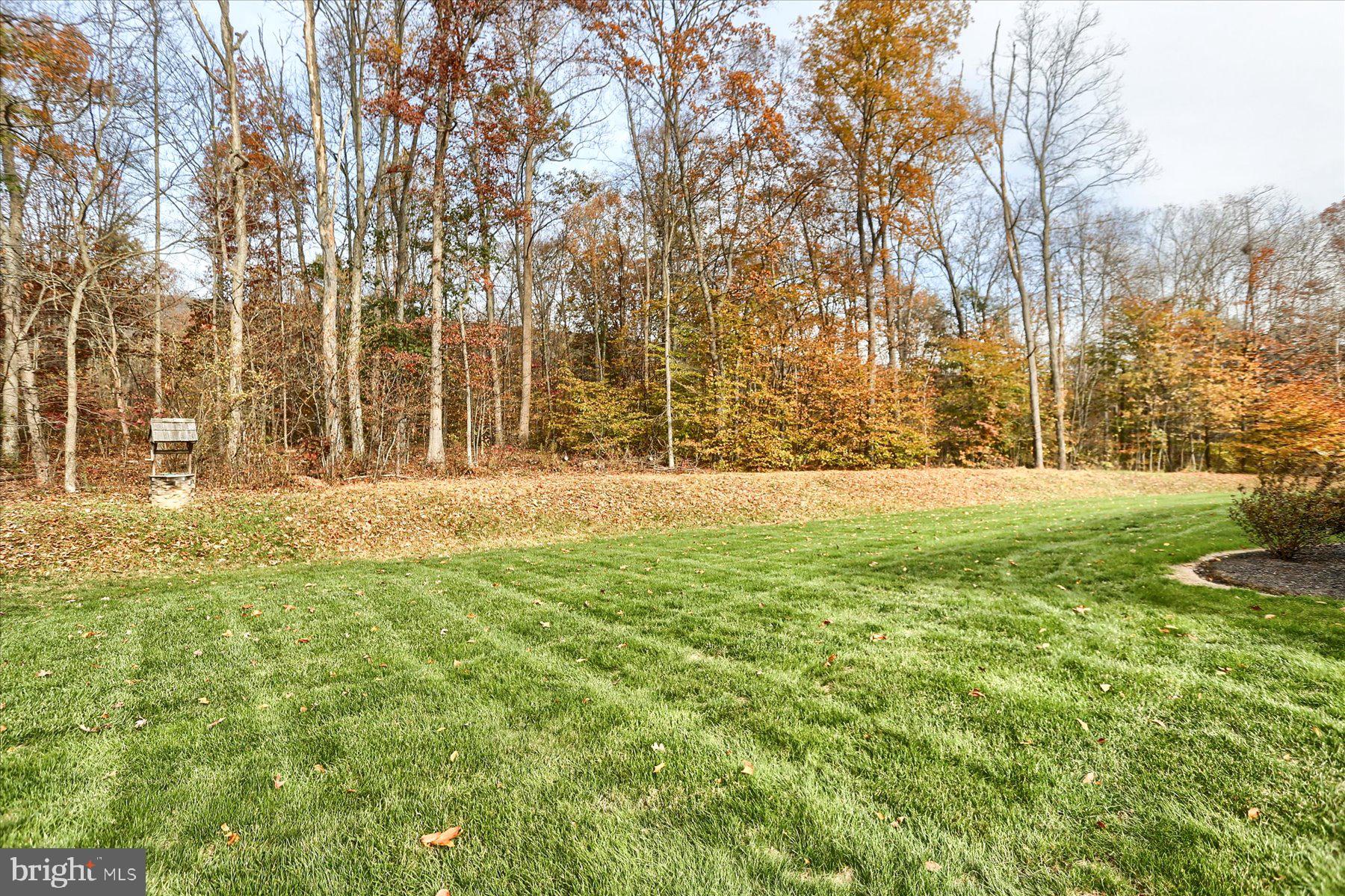 7504 Raccoon Valley Road Millerstown, PA 17062 - Photo 46 of 71 a view of outdoor space with trees all around