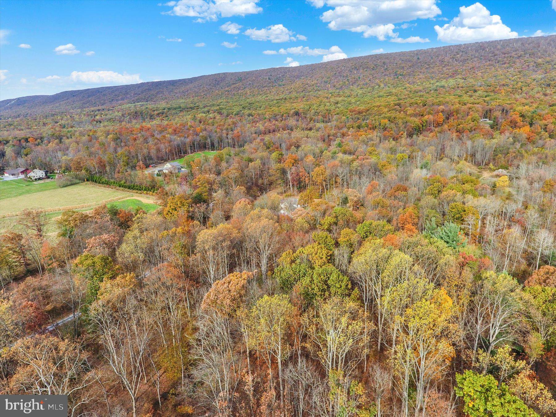 7504 Raccoon Valley Road Millerstown, PA 17062 - Photo 66 of 71 a view of an outdoor space and mountain view