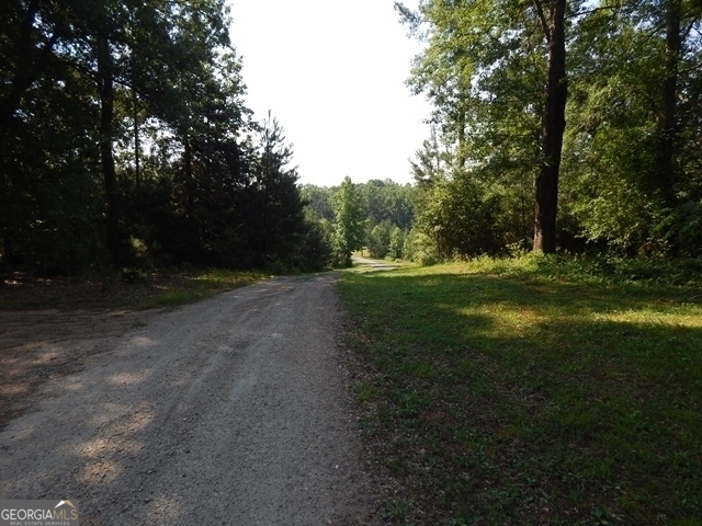 120 Bruce Road Martin, GA 30557 - Photo 7 of 13