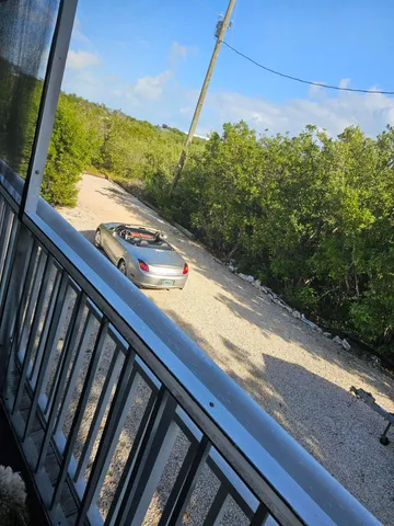 a view of a yard from a window