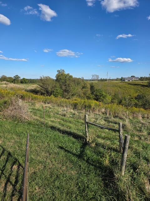 408 Mattox Road Falmouth, KY 41040 - Photo 13 of 28