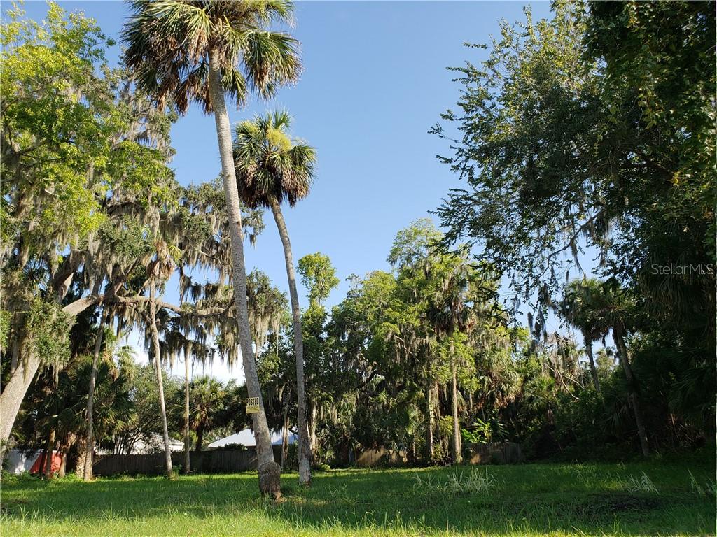 Barbara Street New Port Richey, FL 34652 - Photo 1 of 1 .38 acres with .25 acres buildable land! Great Property in a Great Location!
