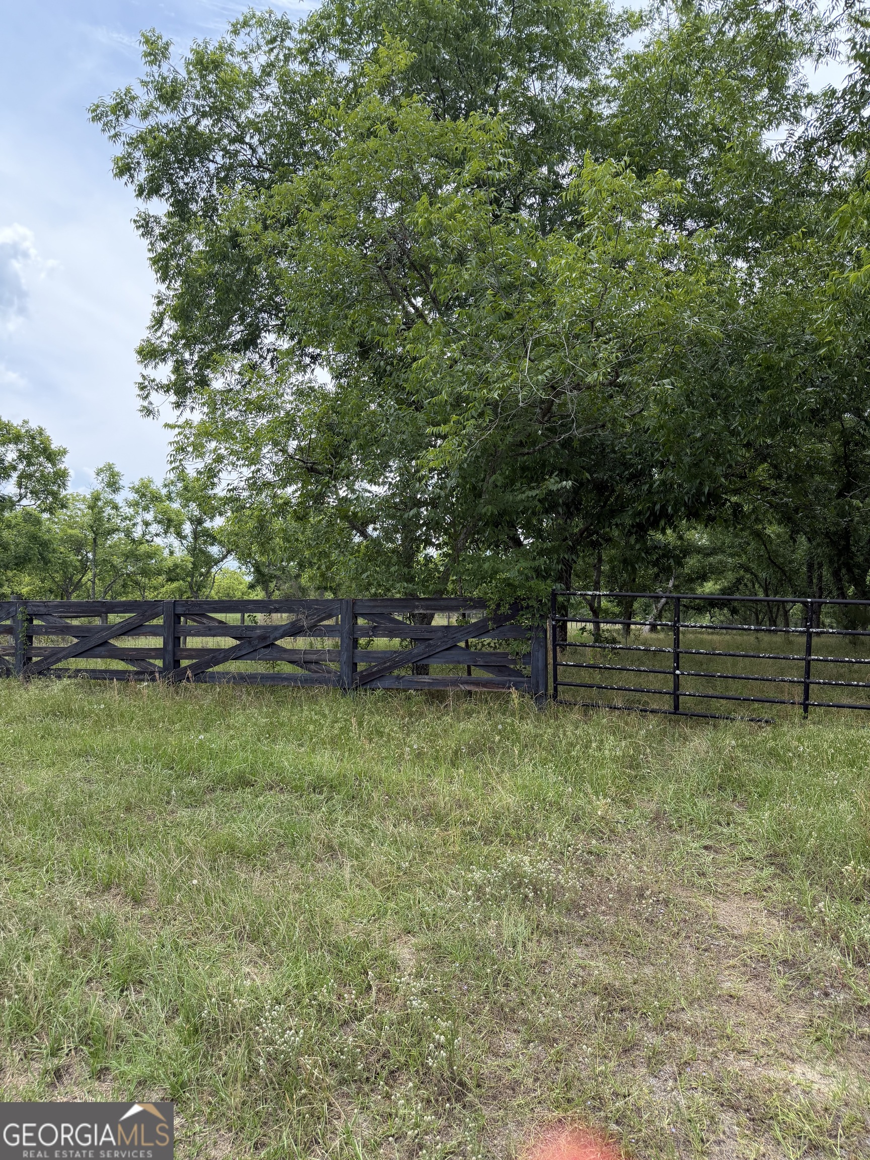 0 Tennille Harrison Road Tennille, GA 31089 - Photo 7 of 9 a view of backyard with green space