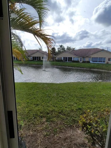 a view of a garden from a window