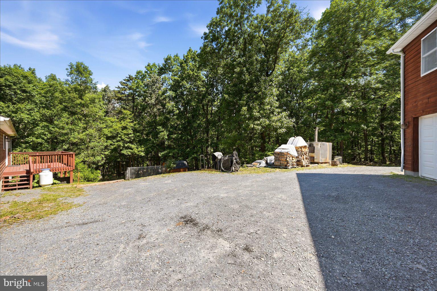 323 South Timber Ridge Road Cross Junction, VA 22625 - Photo 57 of 109 Spacious gravel driveway by lush woods.