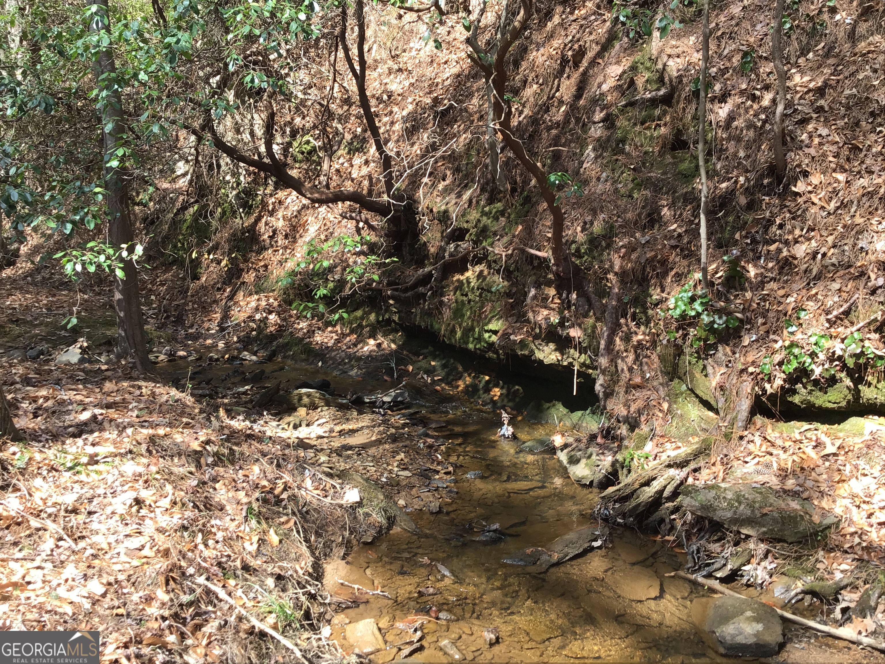 0 Johnson Mountain Road, Unit 7402 Fairmount, GA 30139 - Photo 11 of 46 a view of tree