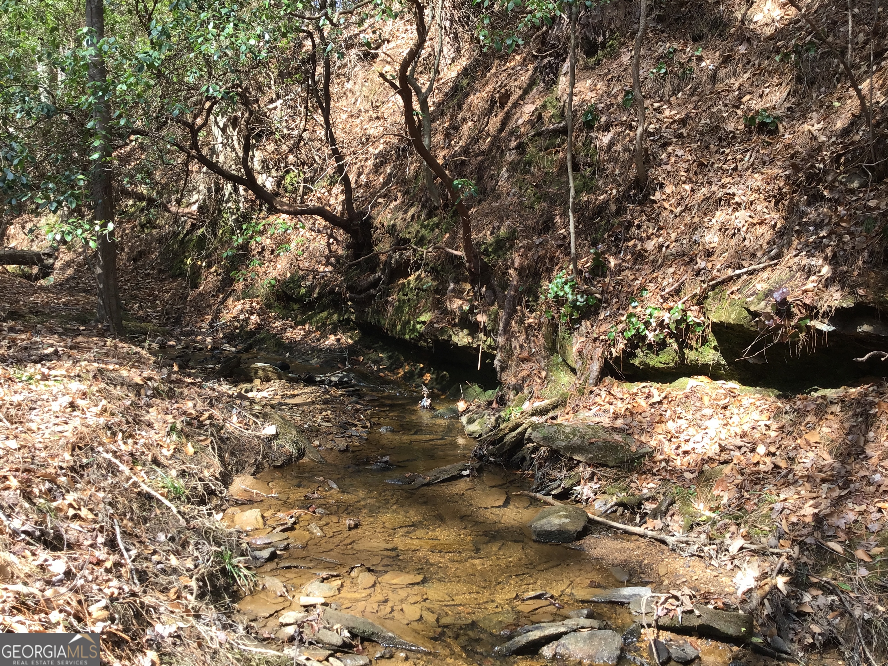 0 Johnson Mountain Road, Unit 7402 Fairmount, GA 30139 - Photo 12 of 46 a view of white tree