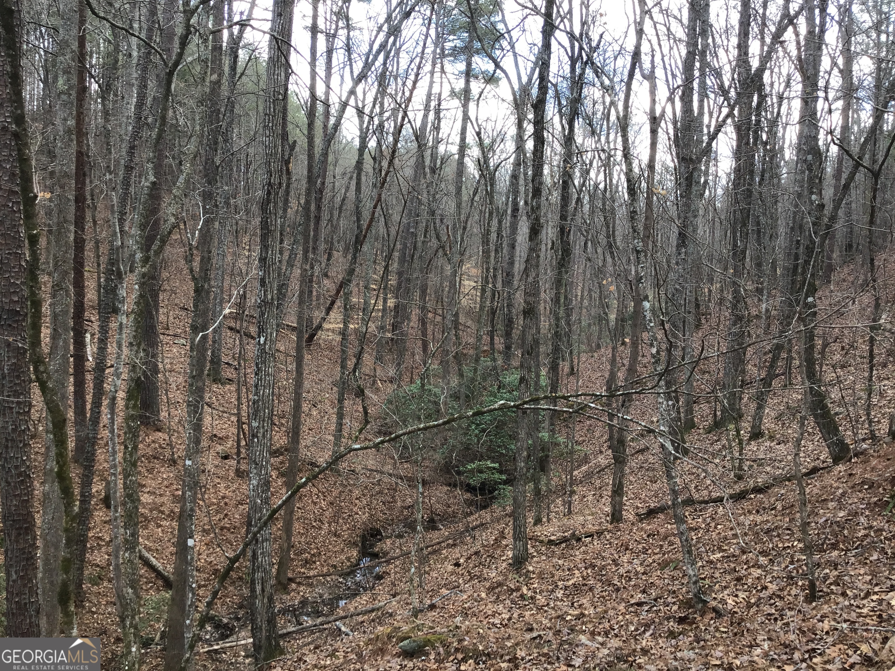 0 Johnson Mountain Road, Unit 7402 Fairmount, GA 30139 - Photo 13 of 46 a backyard of a house with lots of trees