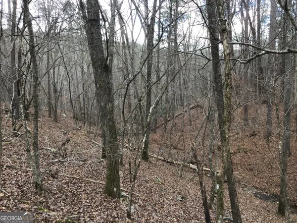 $4,164,160 | 0 Johnson Mountain Road, Unit 7402, Fairmount, GA 30139