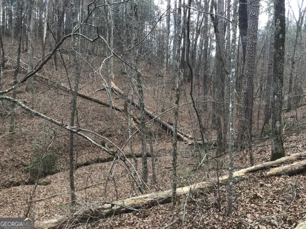 $4,164,160 | 0 Johnson Mountain Road, Unit 7402, Fairmount, GA 30139