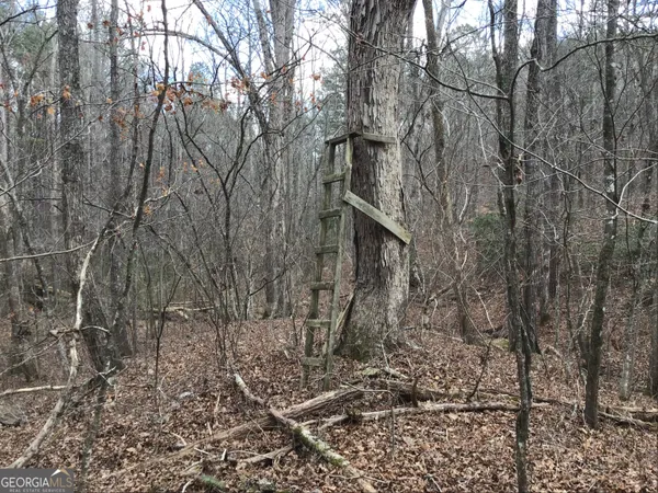 $4,164,160 | 0 Johnson Mountain Road, Unit 7402, Fairmount, GA 30139