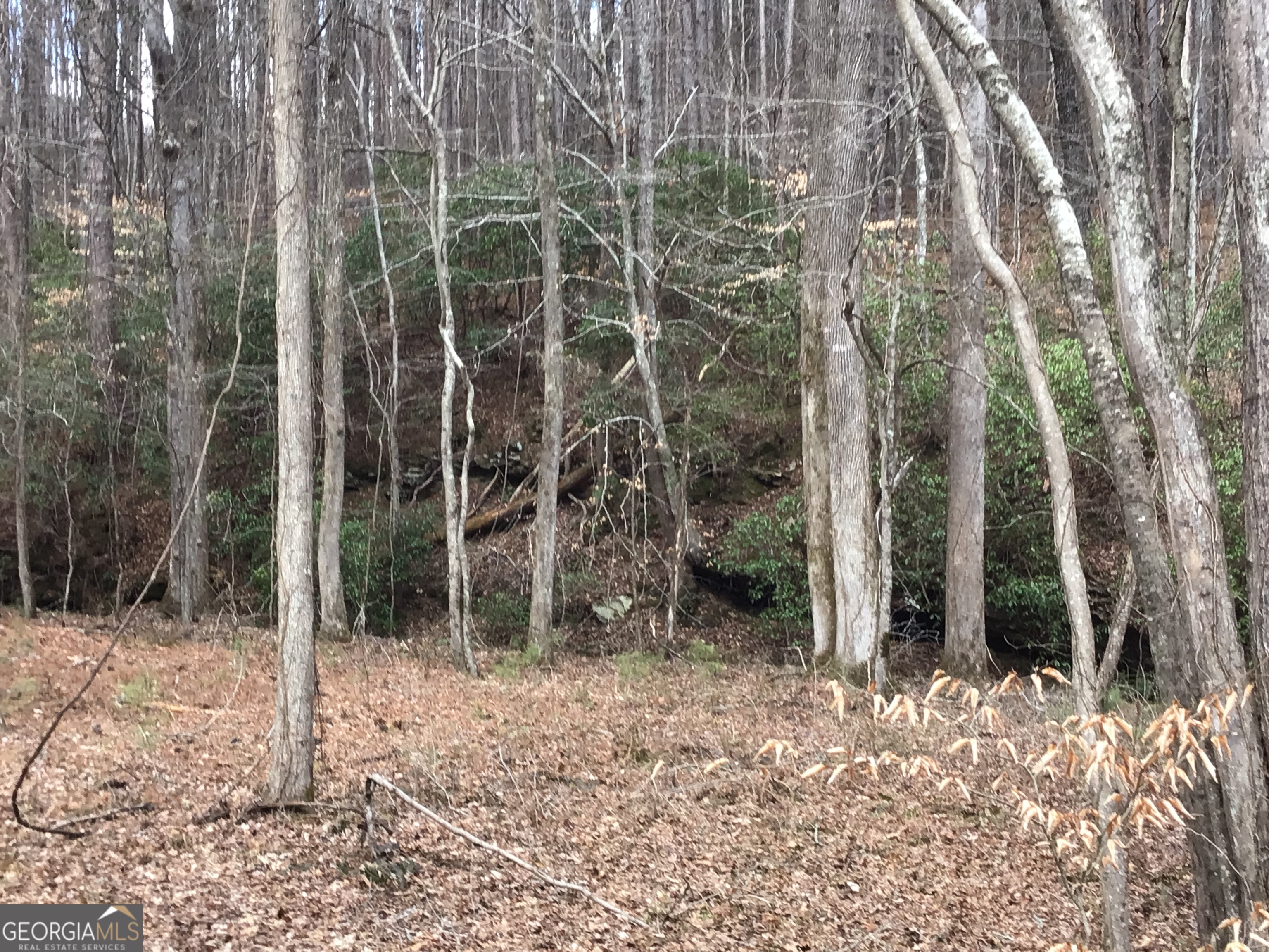 0 Johnson Mountain Road, Unit 7402 Fairmount, GA 30139 - Photo 17 of 46 a view of a backyard