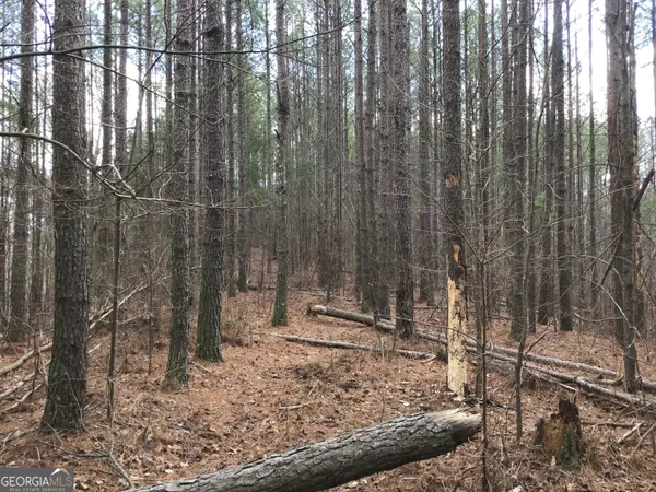 $4,164,160 | 0 Johnson Mountain Road, Unit 7402, Fairmount, GA 30139