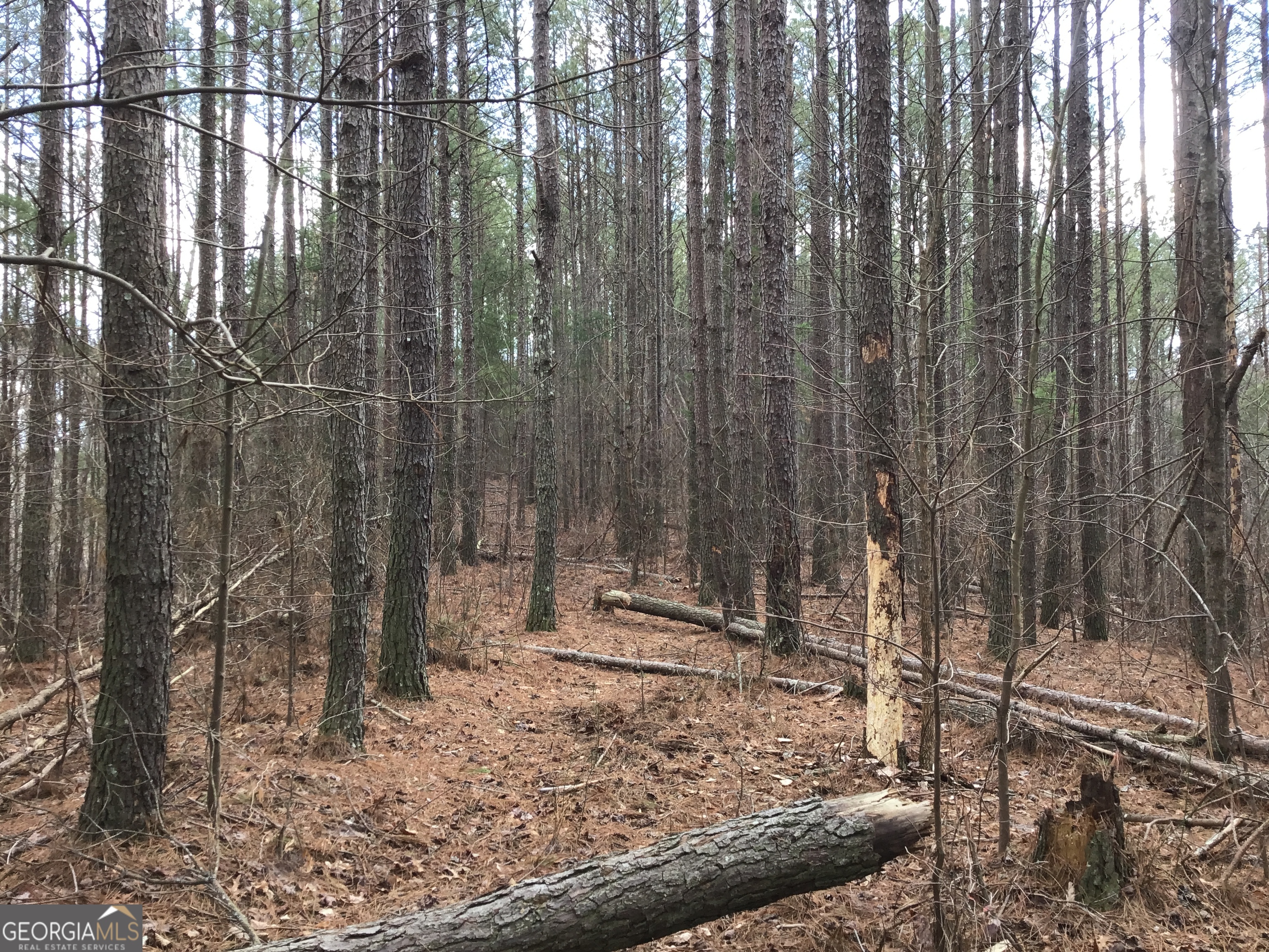 0 Johnson Mountain Road, Unit 7402 Fairmount, GA 30139 - Photo 18 of 46 a view of a backyard