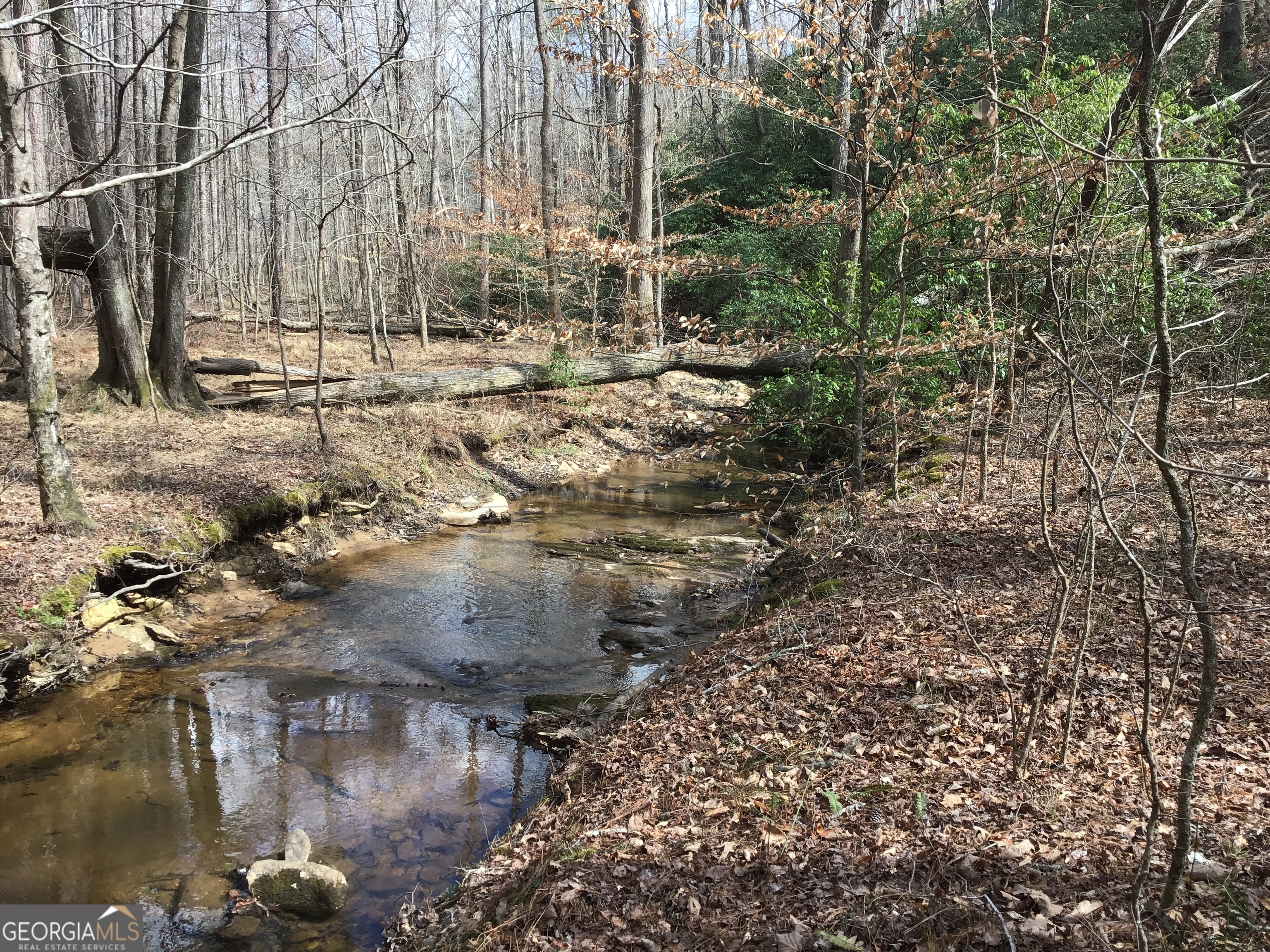 0 Johnson Mountain Road, Unit 7402 Fairmount, GA 30139 - Photo 19 of 46 a view of swimming pool with a yard and lake view of house