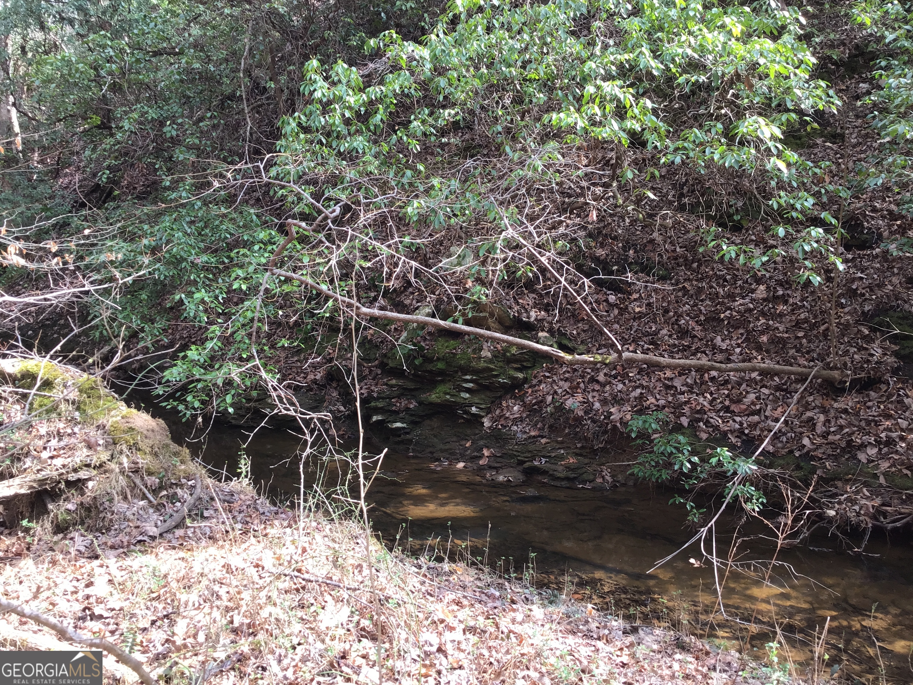 0 Johnson Mountain Road, Unit 7402 Fairmount, GA 30139 - Photo 20 of 46 a view of a forest with a tree