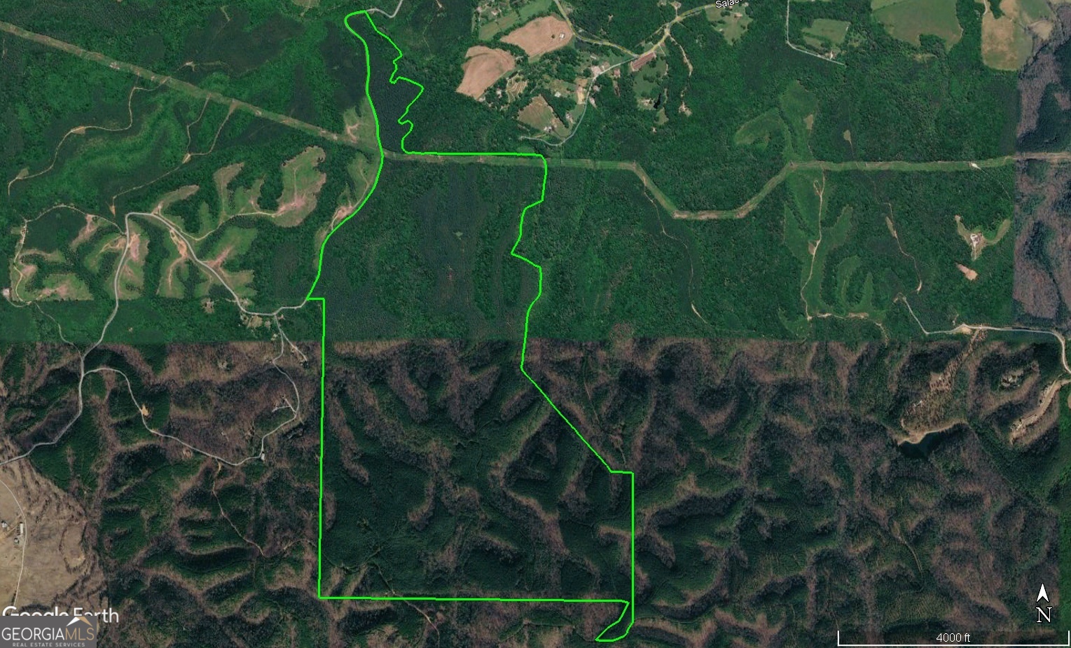 0 Johnson Mountain Road, Unit 7402 Fairmount, GA 30139 - Photo 2 of 46 a picture of trees