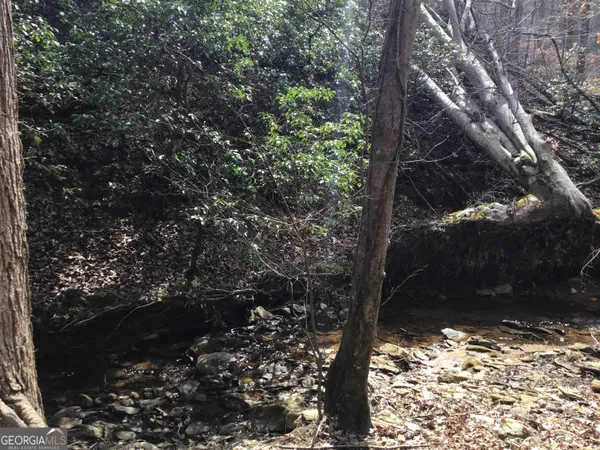 $4,164,160 | 0 Johnson Mountain Road, Unit 7402, Fairmount, GA 30139