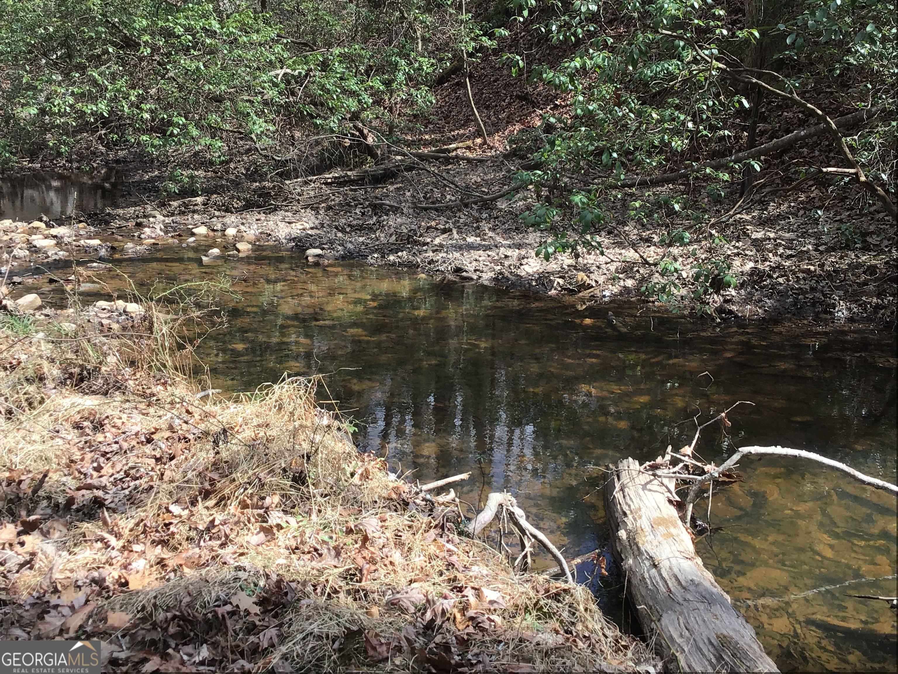 0 Johnson Mountain Road, Unit 7402 Fairmount, GA 30139 - Photo 22 of 46 a view of a lake