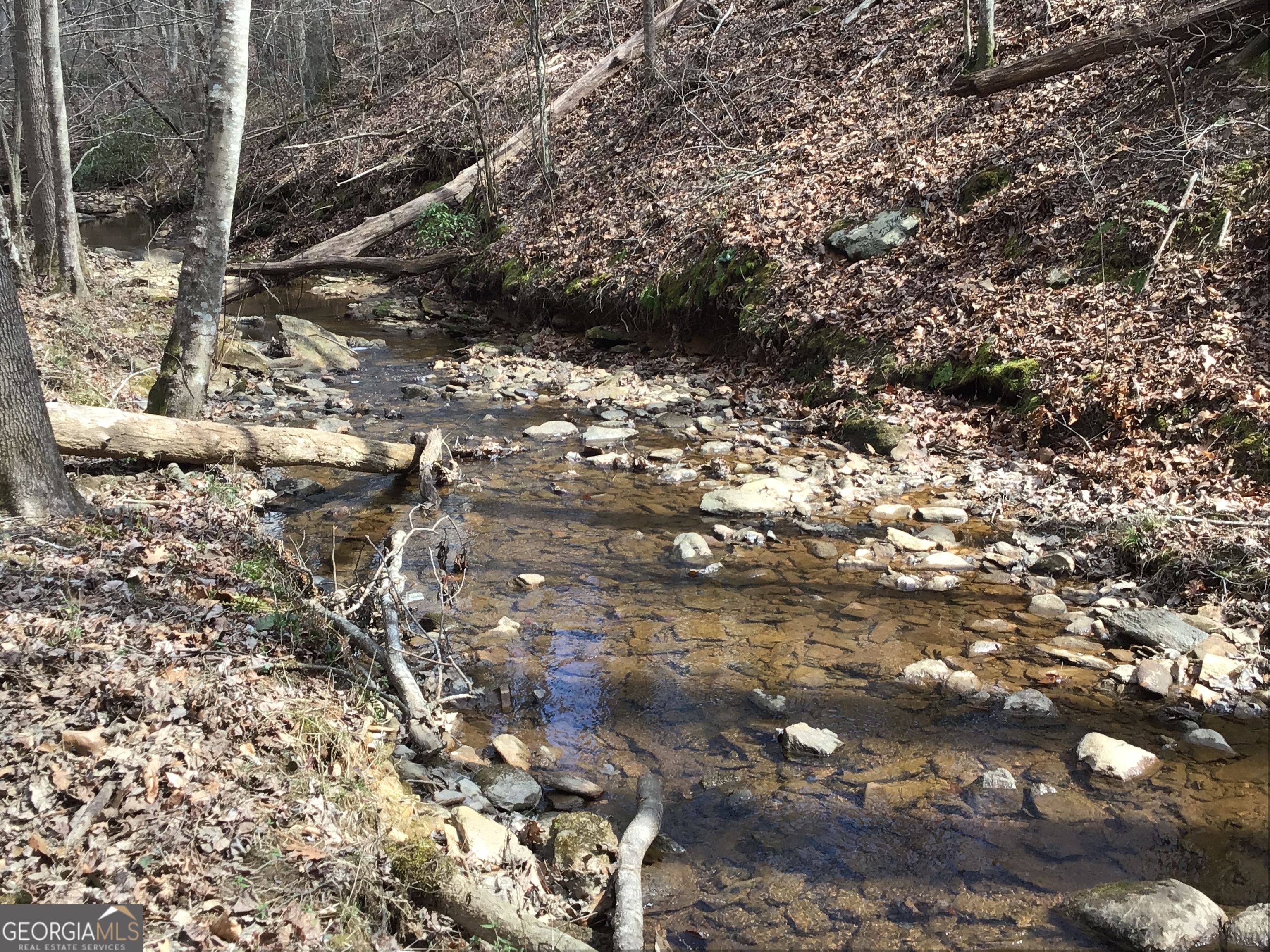 0 Johnson Mountain Road, Unit 7402 Fairmount, GA 30139 - Photo 24 of 46 a view of outdoor space