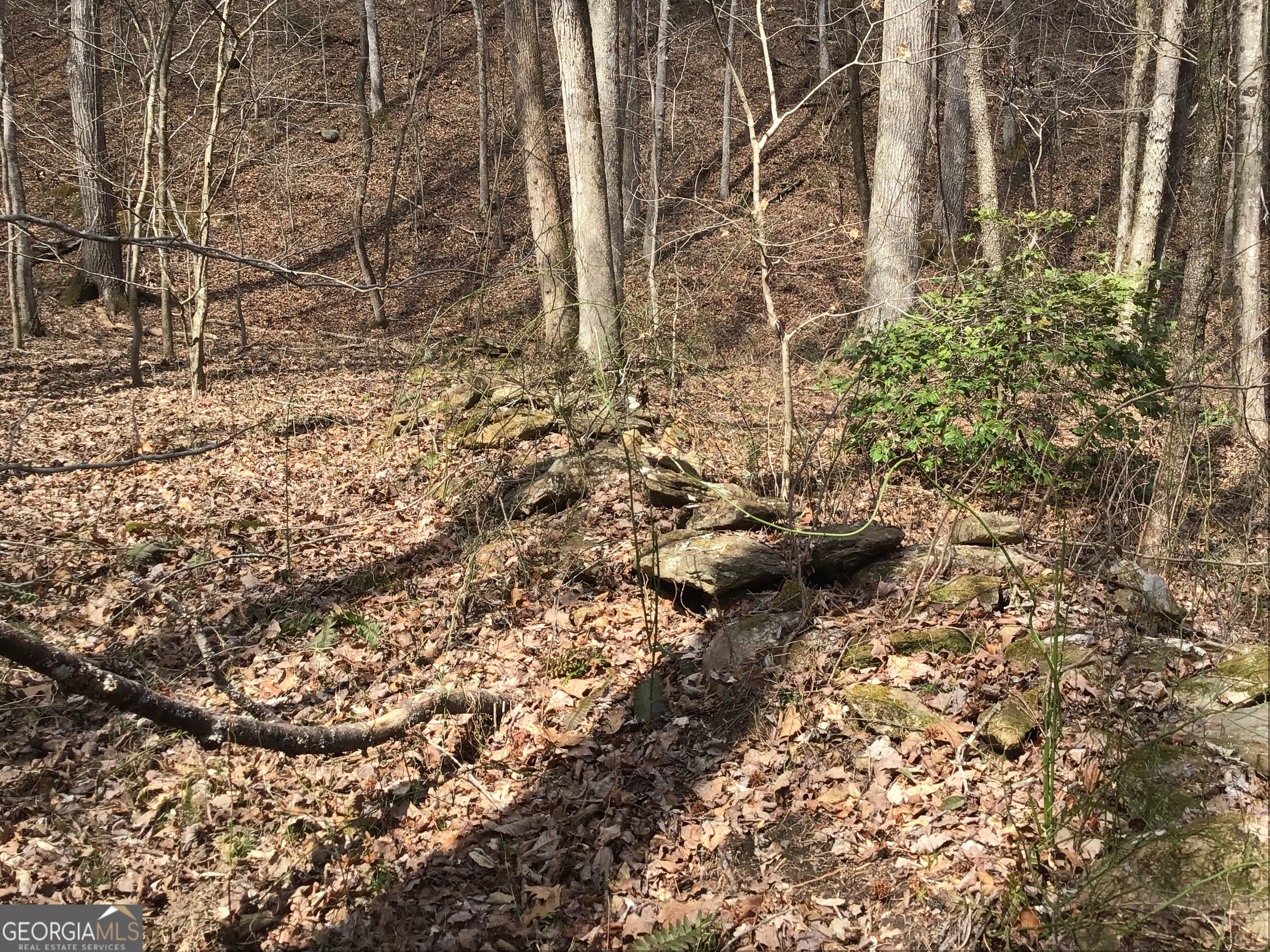 0 Johnson Mountain Road, Unit 7402 Fairmount, GA 30139 - Photo 26 of 46 a backyard of a house with lots of green space